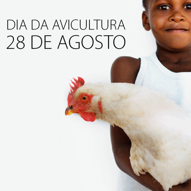 Resultado de imagem para Dia da Avicultura
